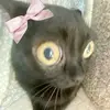 Marie Hemphill - @marie.hemphill4 - TikTok