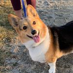 Margie Hermann - @margiehermann24 - Instagram