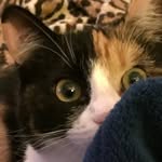 Margie Hoffman - @kg6tbr - Instagram