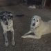 Margie Jacobson - Facebook