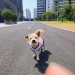 Margie Jacobson - @peggychiylifevw - Instagram