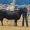Margie Keith - @margiekeith - TikTok