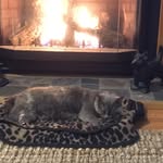 Margielambert1960 (She/Her) - @margielambert1960 - Instagram