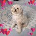 Margie Landers - Facebook