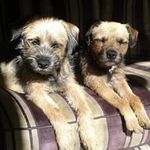Margie Linklater - @margielinklater - Instagram