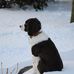 Margie Lyons - Facebook