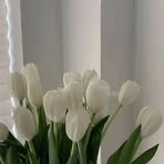 Margie Marcos - Facebook