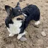 margiemadison6 - @margiemadison6 - TikTok