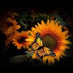 Margie B. Malcolm - Facebook