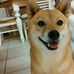 Margie Maxwell - Facebook
