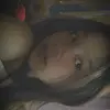 mynxxx - @a.margiemay - TikTok