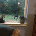 Marge Mcclain - Facebook