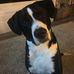 Margie McKee Riemer - Facebook