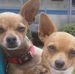 Margie Tison-Mckee - Facebook