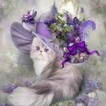 Margie Meyer - @purplebrat77 - Instagram