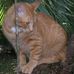 Margie Morrow Glisson - Facebook