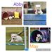 Marge Moses - Facebook