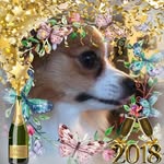 Margie Nelson - @margienelson8782 - Instagram