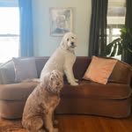 MARGIE and NORMAN - @margieandnorman - Instagram