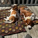 @margienormanbeachbassets - Instagram
