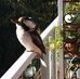 Margaret Ogle - Facebook