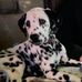 Margie Olson - Facebook