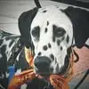 Margie Olson - @margie.olson - TikTok