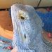 Marge Ostrowski - Facebook