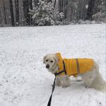 Margie Ostrowski - @ostrowskigosia - Instagram