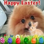 Margie Perdue - @perduemargie - Instagram
