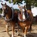 Marge Powers - Facebook