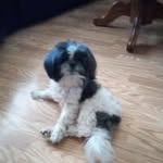 Margie Powers - @margie370947 - Instagram