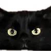 Maggie Pratt - @dr.mooggie - TikTok