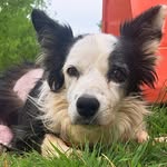 Margie Pratt - @margiepratt879 - Instagram