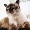 Marge Schulz - @margeschulz - TikTok
