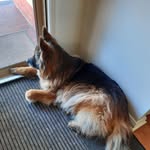 Margie Sears - @sears.margie - Instagram