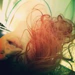 Margie Shaffer - @blazewishinside - Instagram