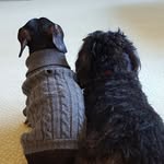 @margieshepard11 - Instagram