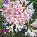 Margie Shepherd - Facebook