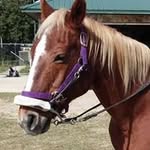Margie Kamin Shortt - @margieshortt - Instagram