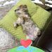 Margie Skipper - Facebook