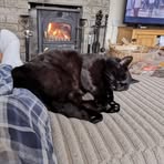 Margaret Smart - Facebook