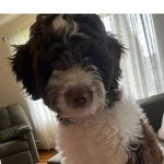 MaggieB - @margiestanton67 - Instagram