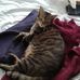 Margie Stanton - Facebook