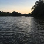 @margie.w.starr - Instagram