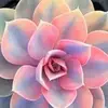 Maggie Sutherland - @m.sutherland1221 - TikTok