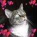 Margie Sutherland - Facebook