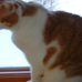 Margie Tuttle - Facebook
