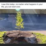 Margie Tuttle - Facebook