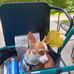 Margaret Vickers - Facebook